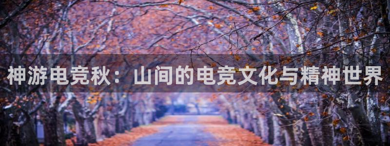 mk电子竞技：神游电竞秋：山间的电竞文化与精神世界