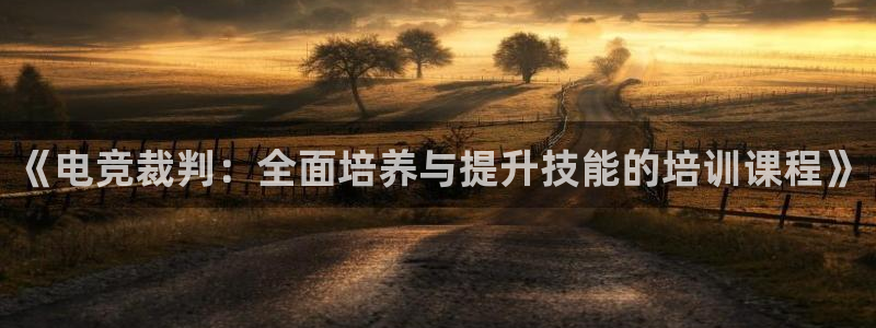 MK电竞官网：《电竞裁判：全面培养与提升技能的培训课程》