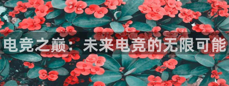 MK电竞：电竞之巅：未来电竞的无限可能