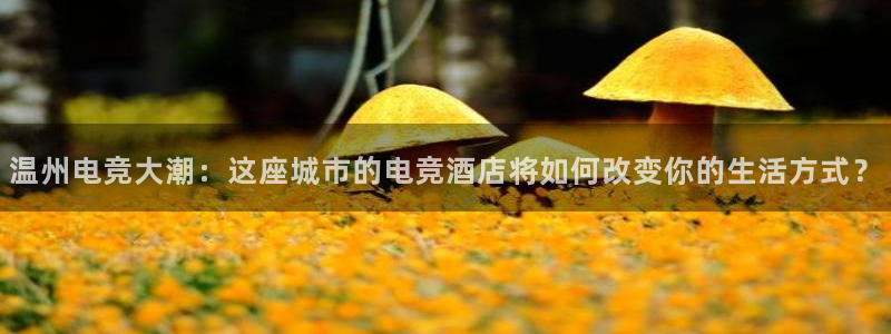 mk电子竞技：温州电竞大潮：这座城市的电竞酒店将如何改变你的生活方式？