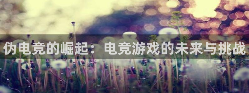 mk电子竞技：伪电竞的崛起：电竞游戏的未来与挑战