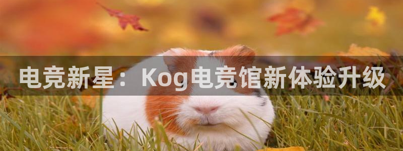 MK电竞官网：电竞新星：Kog电竞馆新体验升级