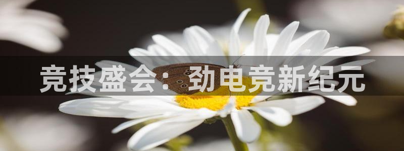 MK电竞官网：竞技盛会：劲电竞新纪元