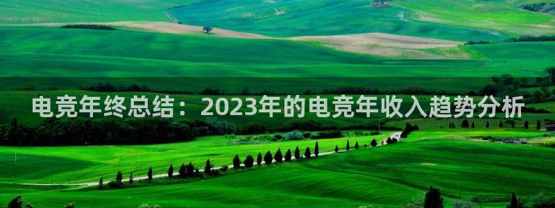 MK电竞官网：电竞年终总结：2023年的电竞年收入趋势分析