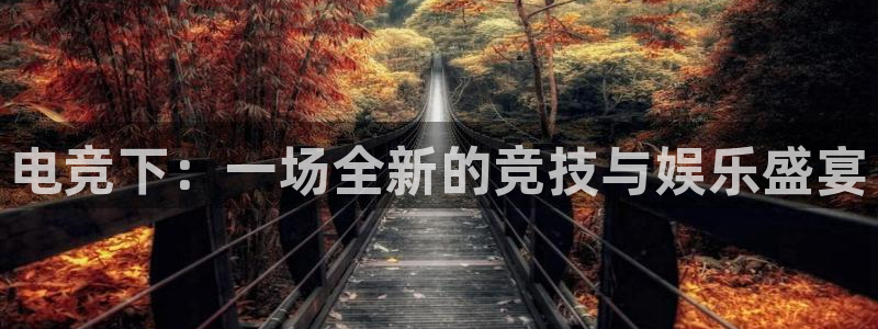 MK电竞官网：电竞下：一场全新的竞技与娱乐盛宴