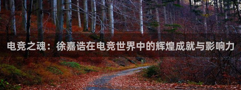 mk电子竞技：电竞之魂：徐嘉诰在电竞世界中的辉煌成就与影响力