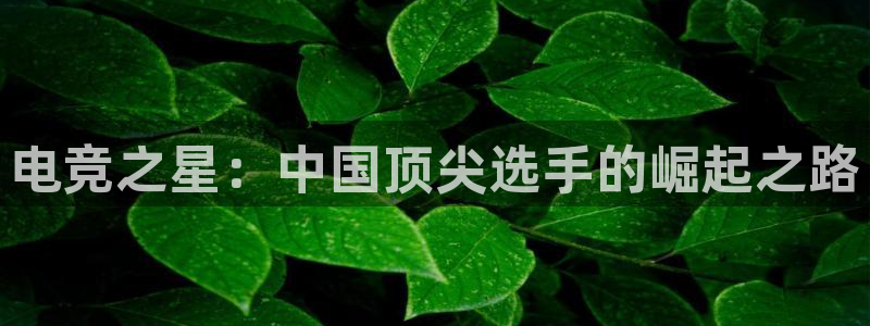 MK电竞：电竞之星：中国顶尖选手的崛起之路