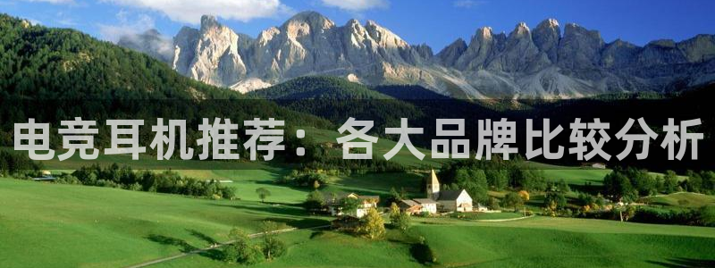 MK电竞官网：电竞耳机推荐：各大品牌比较分析