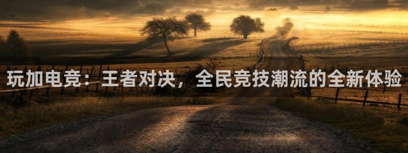 MK电竞官网：玩加电竞：王者对决，全民竞技潮流的全新体验