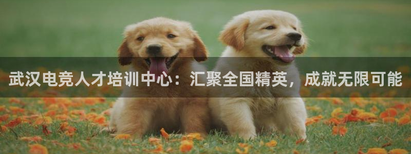 MK电竞