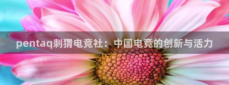 MK电竞官网