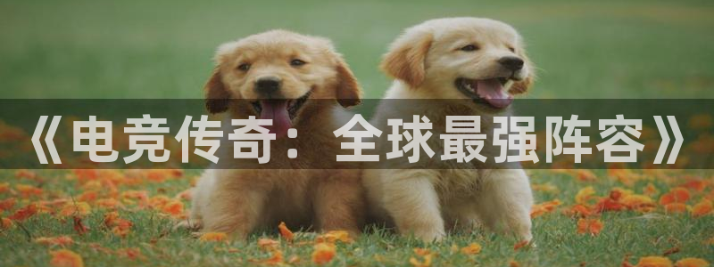 MK电竞