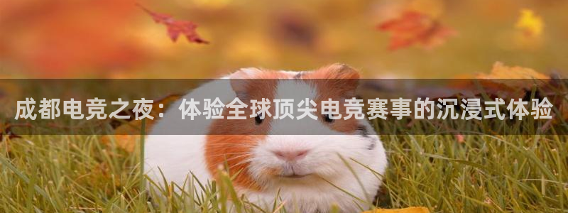 mk电子竞技