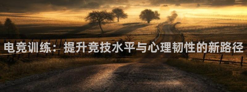 MK电竞官网：电竞训练：提升竞技水平与心理韧性的新路径