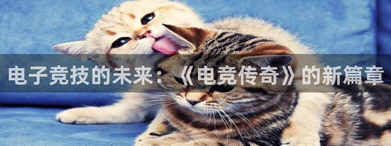 mk电子竞技：电子竞技的未来：《电竞传奇》的新篇章