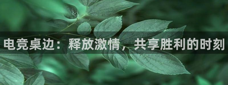 MK电竞：电竞桌边：释放激情，共享胜利的时刻