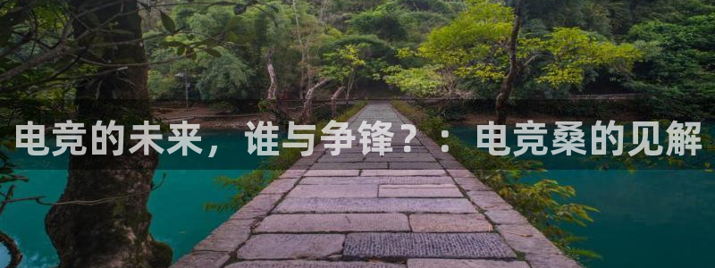 MK电竞官网：电竞的未来，谁与争锋？：电竞桑的见解