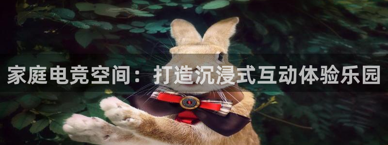 MK电竞：家庭电竞空间：打造沉浸式互动体验乐园