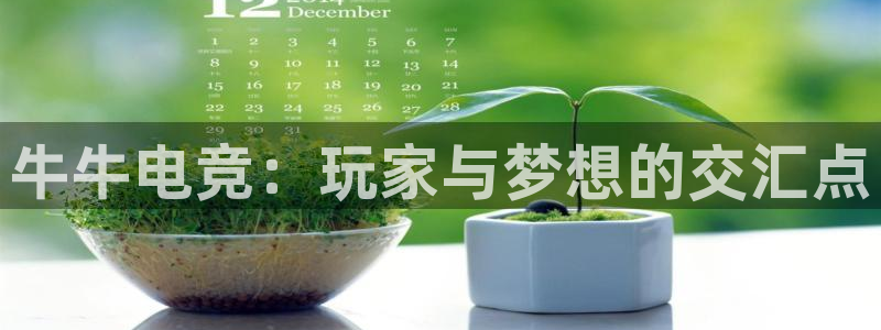 mk电子竞技：牛牛电竞：玩家与梦想的交汇点