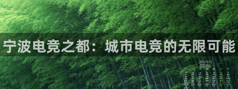 MK电竞官网：宁波电竞之都：城市电竞的无限可能