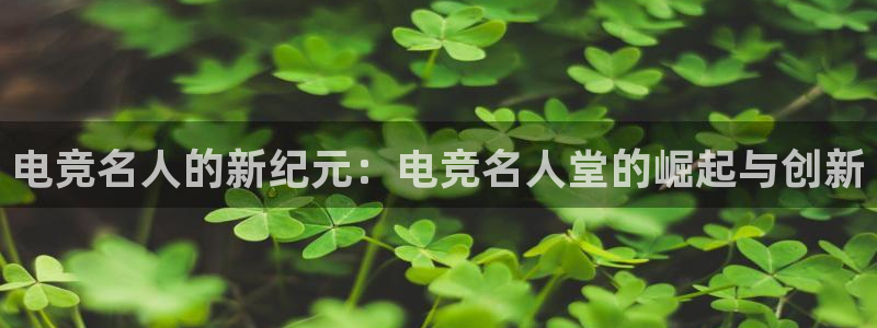 mk电子竞技