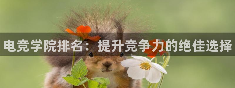 MK电竞官网