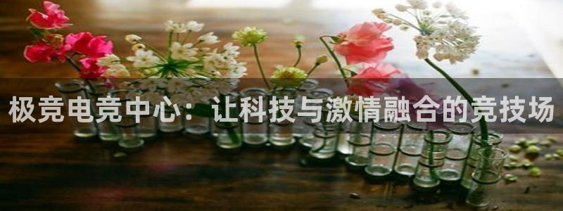 MK电竞官网：极竞电竞中心：让科技与激情融合的竞技场